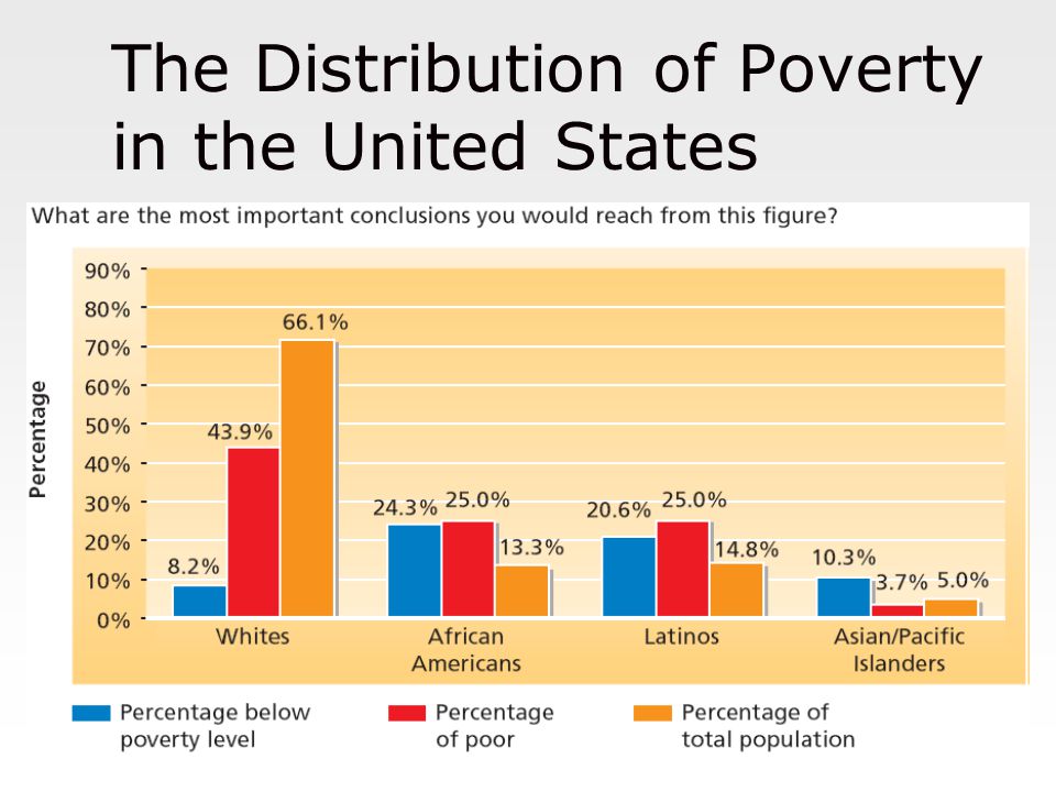 Poverty case studies in america